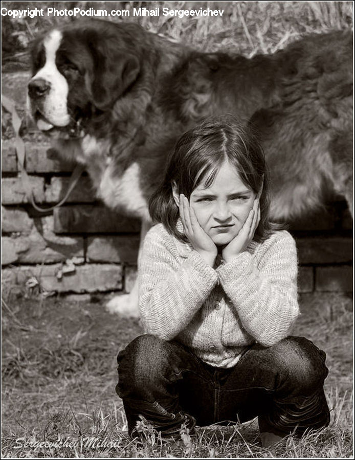 People, Person, Human, Animal, Canine, Cocker Spaniel, Dog