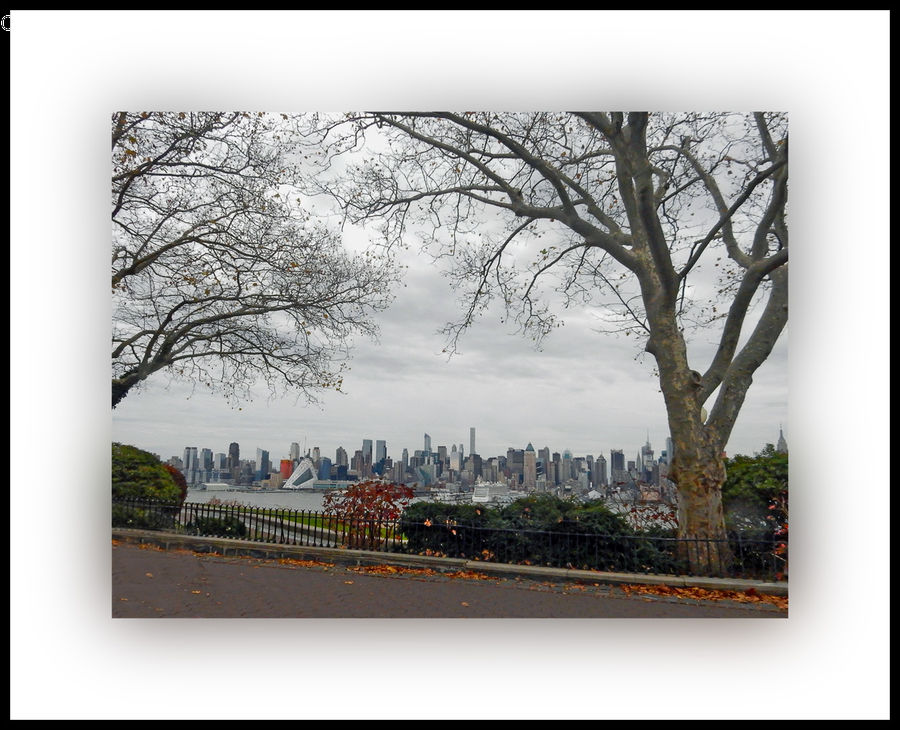 Collage, Poster, Plant, Tree, City, Downtown, Urban