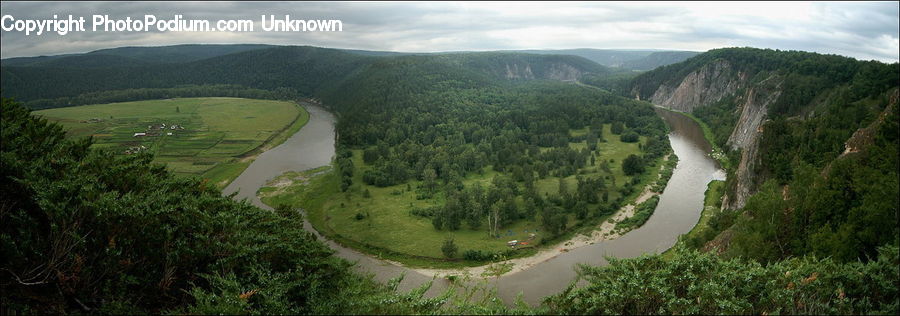 Countryside, Outdoors, River, Water, Field, Bush, Plant