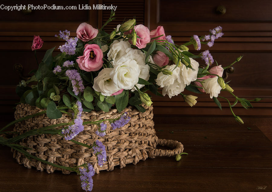 Floral Design, Flower, Flower Arrangement, Flower Bouquet, Ikebana, Plant, Potted Plant