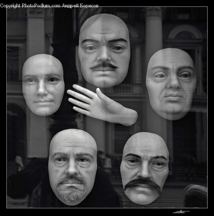 Head, Portrait, People, Person, Human, Face, Selfie