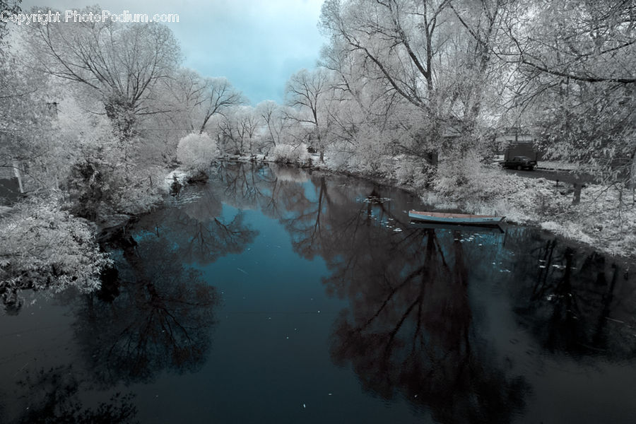 Blossom, Flora, Flower, Plant, Cherry Blossom, Canal, Outdoors