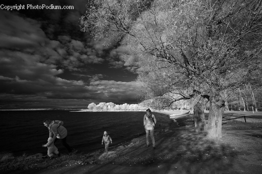Human, People, Person, Bench, Countryside, Outdoors, Plant