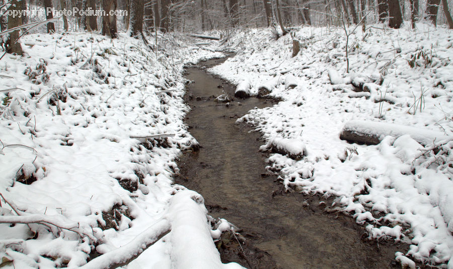 Ice, Outdoors, Snow, Blizzard, Weather, Winter, Forest
