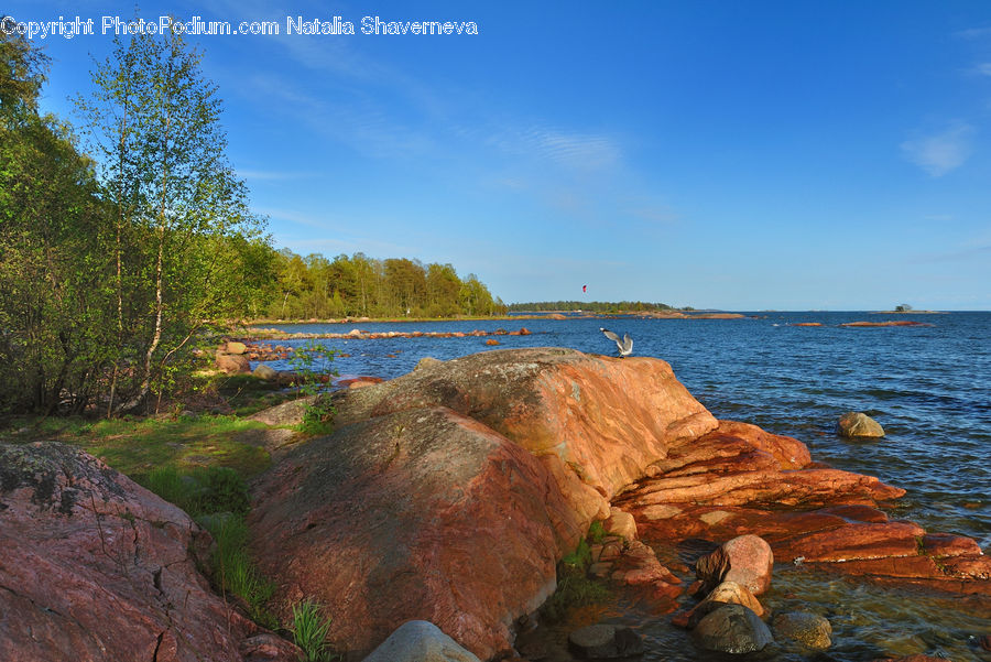 Land, Marsh, Outdoors, Swamp, Water, Rock, Promontory