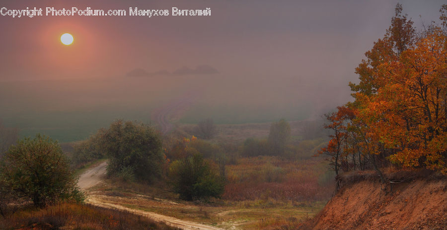 Dawn, Dusk, Sky, Sunrise, Sunset, Dirt Road, Gravel