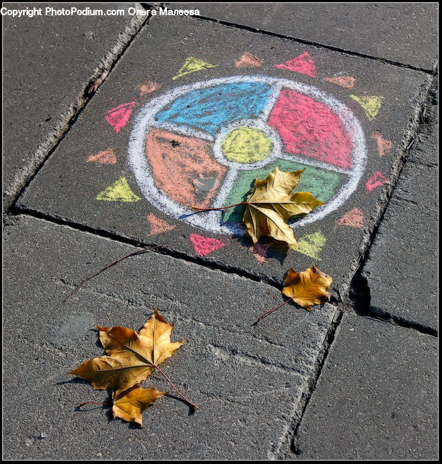 Pavement, Maple, Maple Leaf, Plant, Asphalt, Tarmac, Leaf