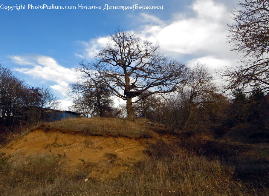 Grassland, Mound, Field, Grass, Land, Outdoors, Dirt Road