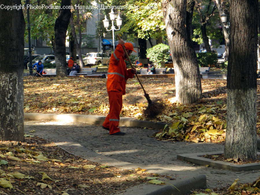 People, Person, Human, Costume, Sari, Plant, Tree