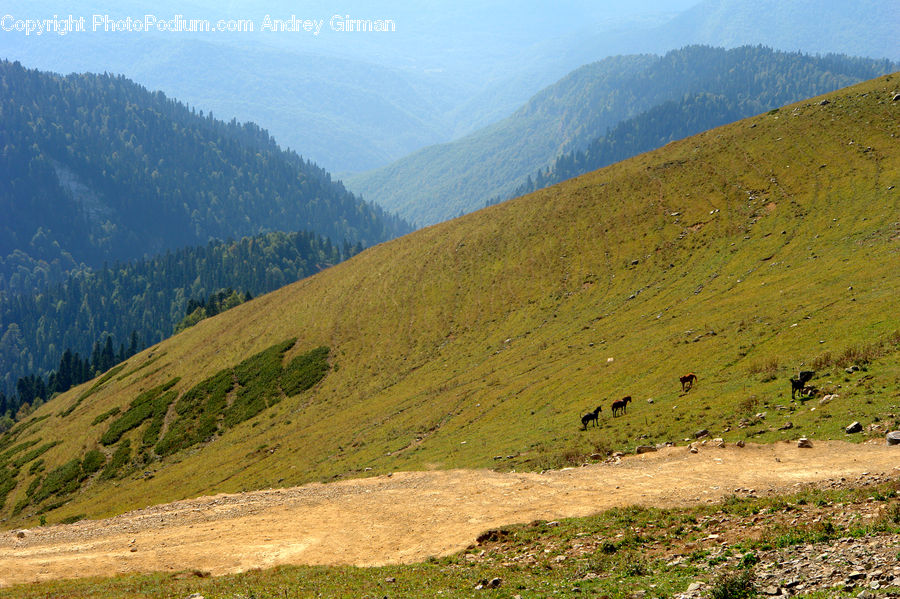 Crest, Mountain, Outdoors, Peak, Field, Grass, Grassland