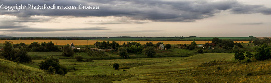Field, Grass, Grassland, Land, Outdoors, Landscape, Nature