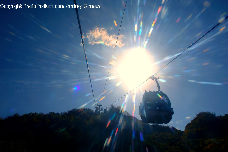 Flare, Light, Club, Festival, Forest, Vegetation, Jungle