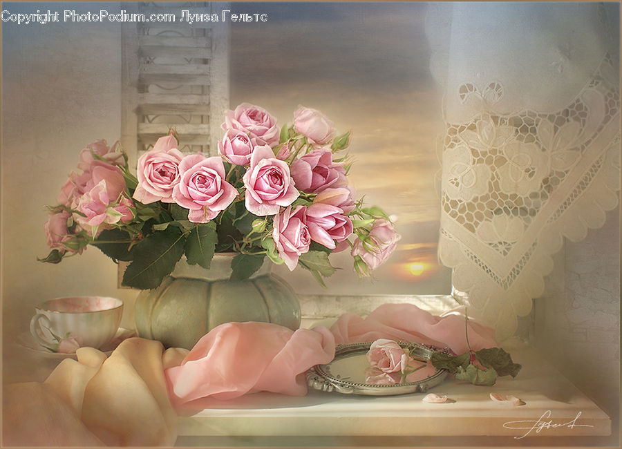 Blossom, Flower, Plant, Rose, Flower Arrangement, Flower Bouquet, Floral Design
