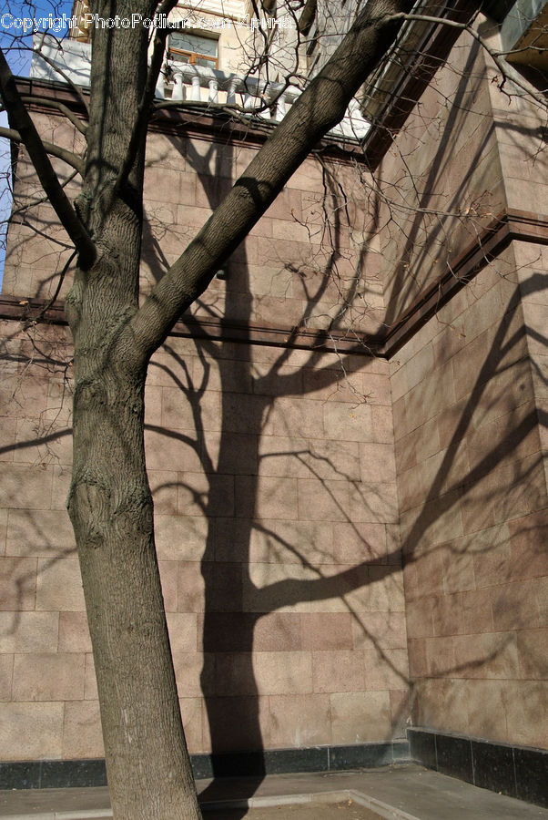 Lamp Post, Pole, Building, Housing, Architecture, Bell Tower, Clock Tower