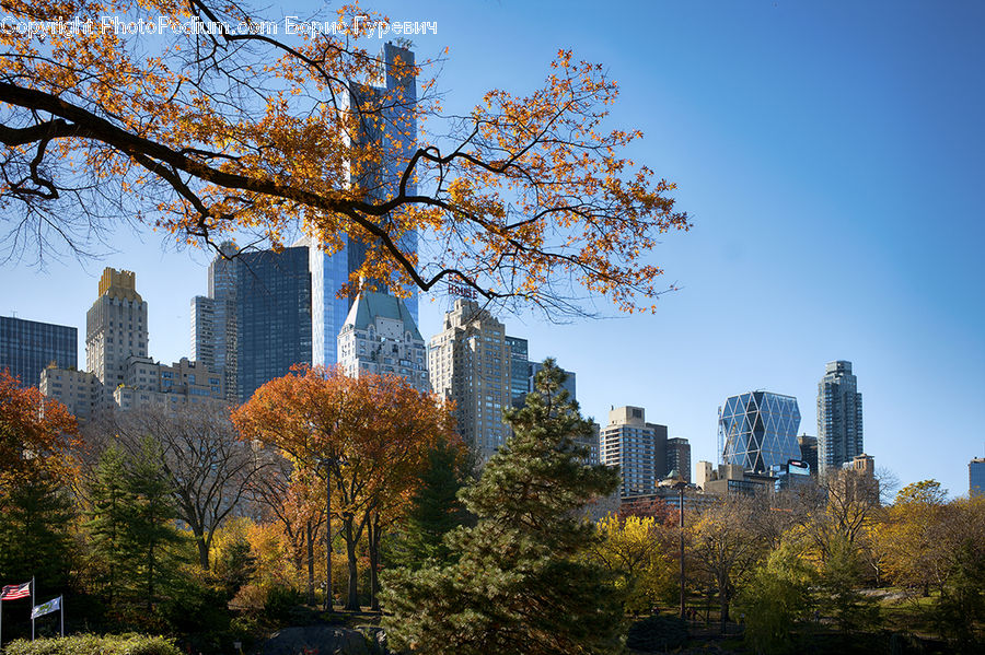 Building, City, High Rise, Downtown, Urban, Metropolis, Park