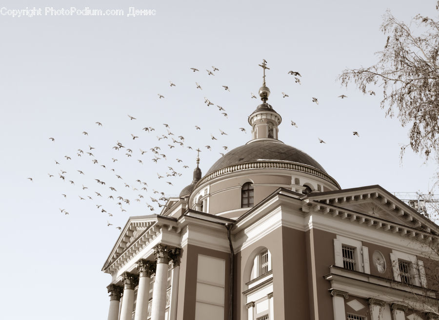 Architecture, Dome, Church, Worship, Building, Cathedral, Office Building