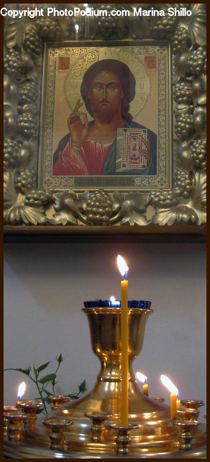 Plant, Potted Plant, Molding, People, Person, Human, Candle