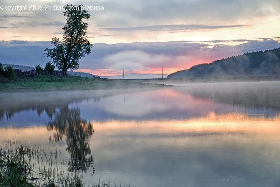 Grass, Plant, Reed, Dawn, Dusk, Sky, Sunrise