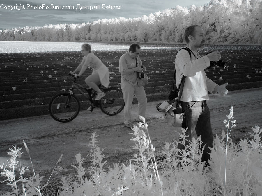 Human, People, Person, Bicycle, Bike, Vehicle, Cyclist
