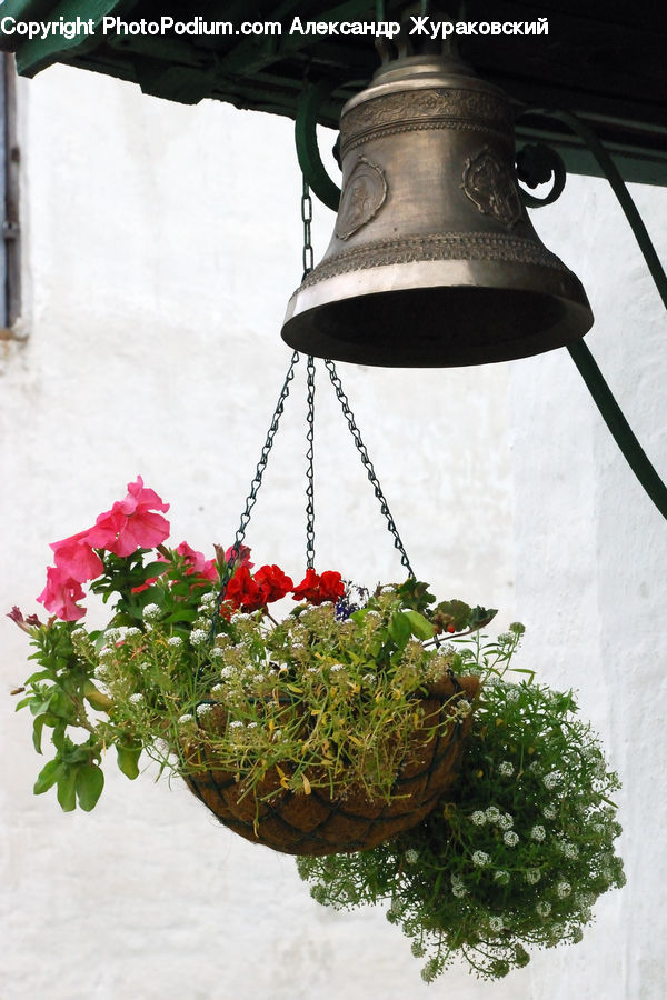 Flower, Flower Arrangement, Flower Bouquet, Floral Design, Light Fixture, Plant, Ikebana
