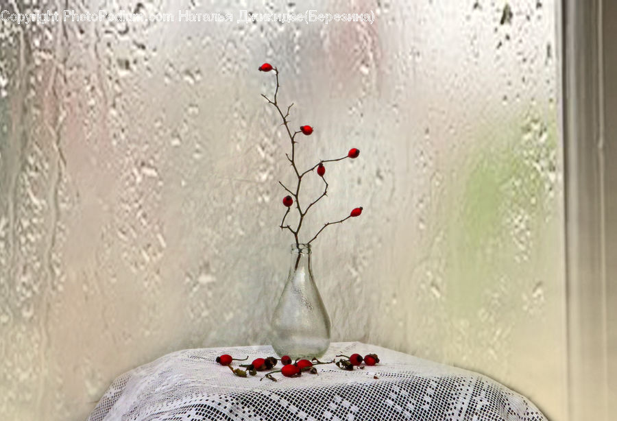 Blossom, Flora, Flower, Geranium, Plant, Cushion, Home Decor