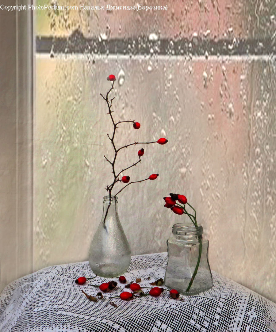 Jar, Cushion, Home Decor, Pillow, Blossom, Flower, Plant