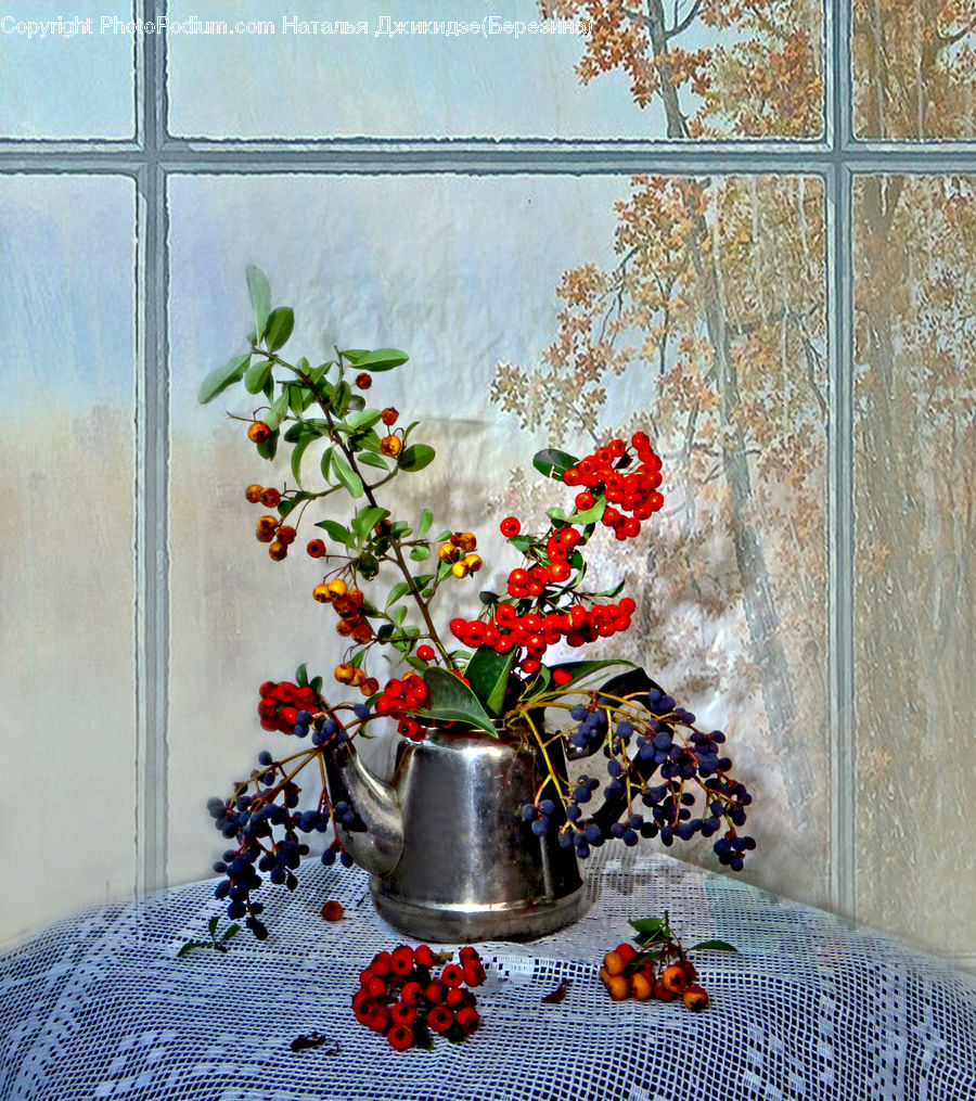 Plant, Potted Plant, Pot, Pottery, Blossom, Flora, Flower