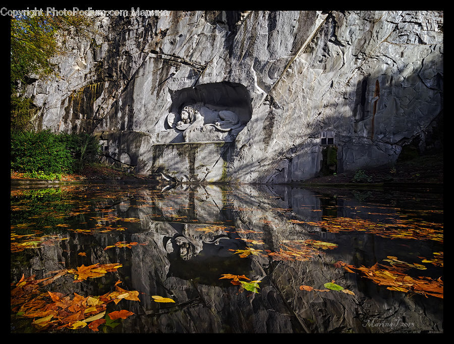 Cave, Art, Maple, Maple Leaf, Plant, Soil, Blossom