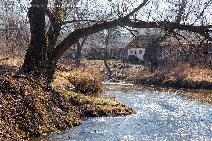Cabin, Hut, Rural, Shack, Shelter, Outdoors, River
