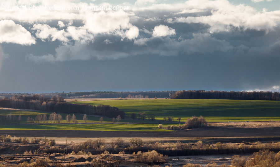 Cloud, Cumulus, Sky, Field, Grass, Grassland, Land