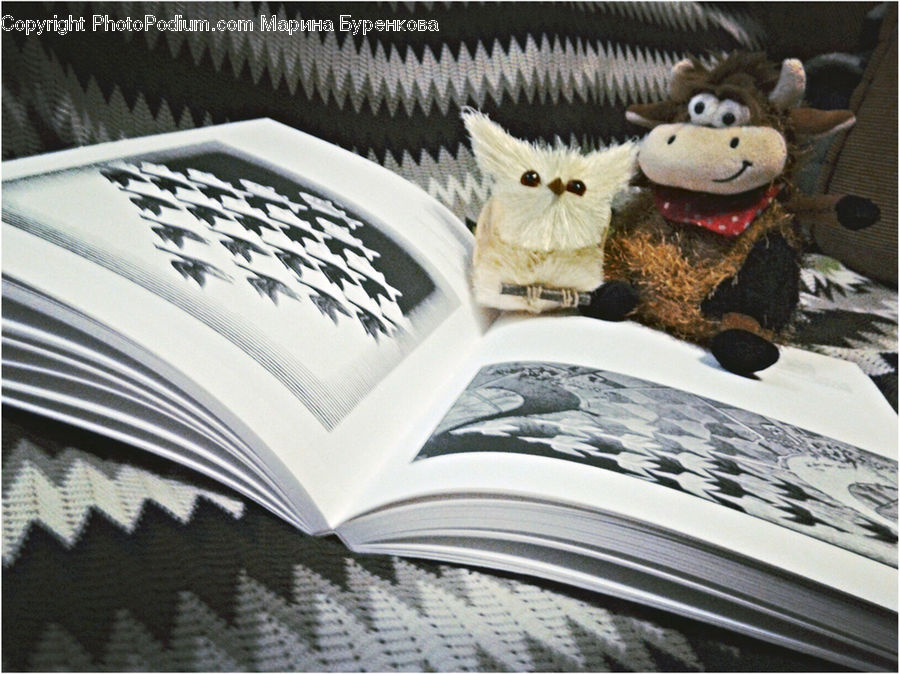 Teddy Bear, Toy