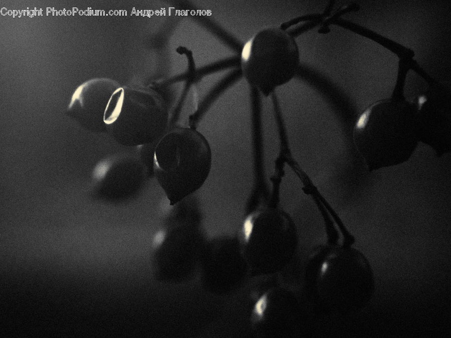 Lighting, Cherry, Fruit