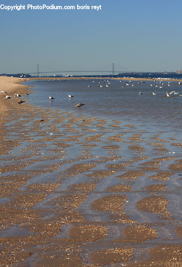 Beach, Coast, Outdoors, Sea, Water, Landscape, Nature