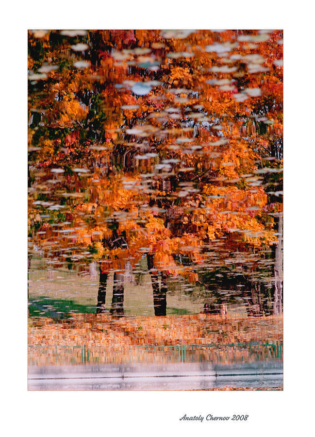 Collage, Poster, Brochure, Flyer, Paper, Game, Jigsaw Puzzle
