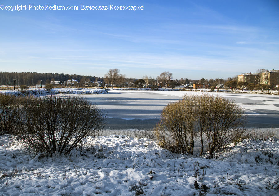 Frost, Ice, Outdoors, Snow, Field, Grass, Grassland