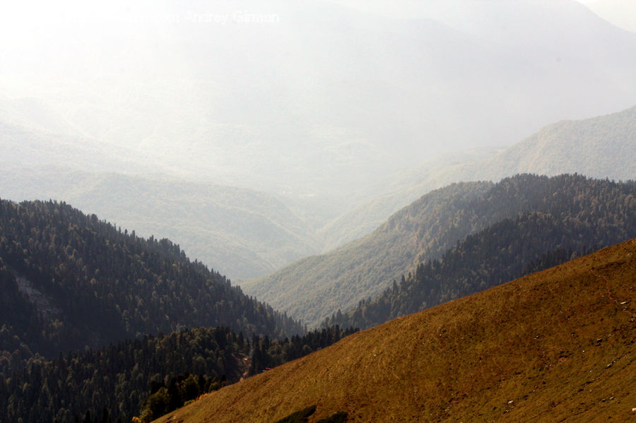Crest, Mountain, Outdoors, Peak, Mountain Range, Conifer, Fir