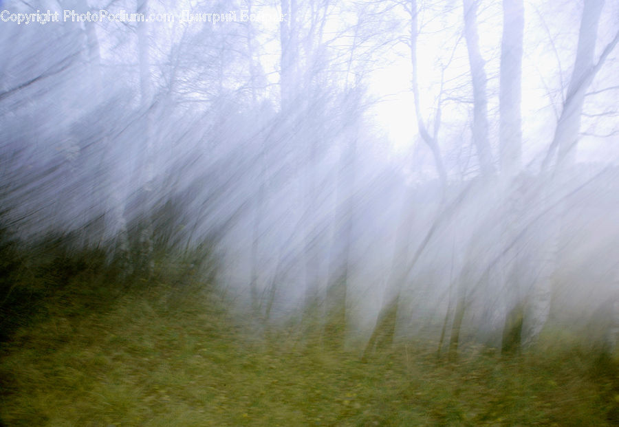Field, Grass, Grassland, Plant, Fog, Mist, Outdoors