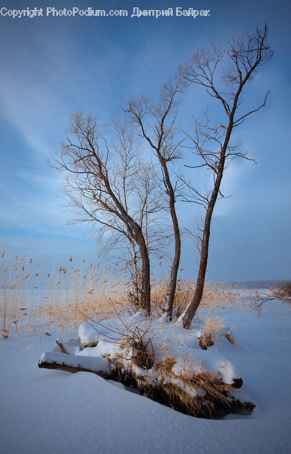 Ice, Outdoors, Snow, Arctic, Winter, Dawn, Dusk