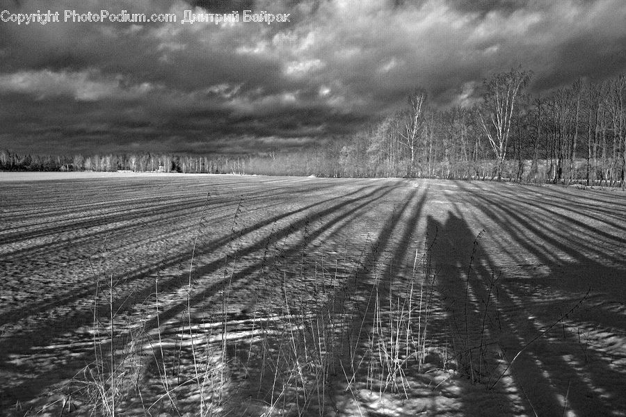 Field, Countryside, Outdoors, Farm, Road, Soil, Grain