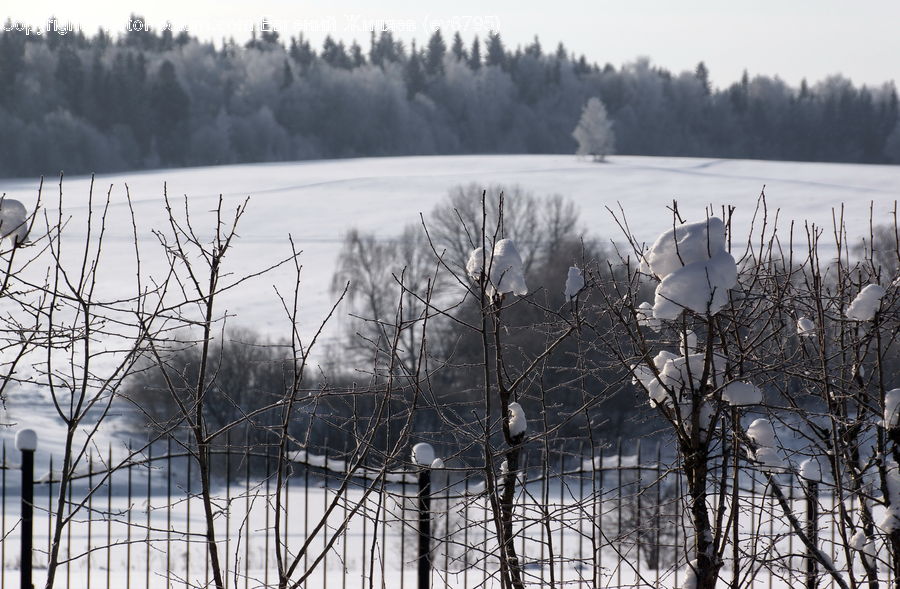 Ice, Outdoors, Snow, Landscape, Nature, Scenery, Grass