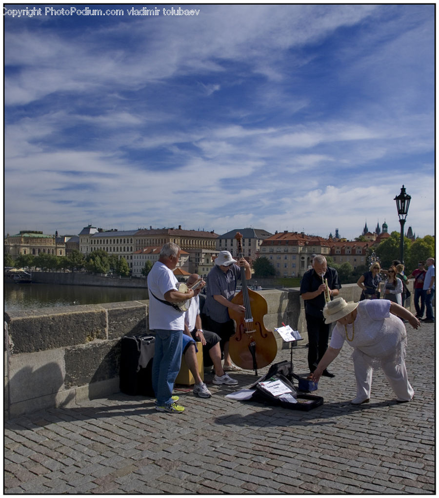 People, Person, Human, Fiddle, Musical Instrument, Viola, Violin