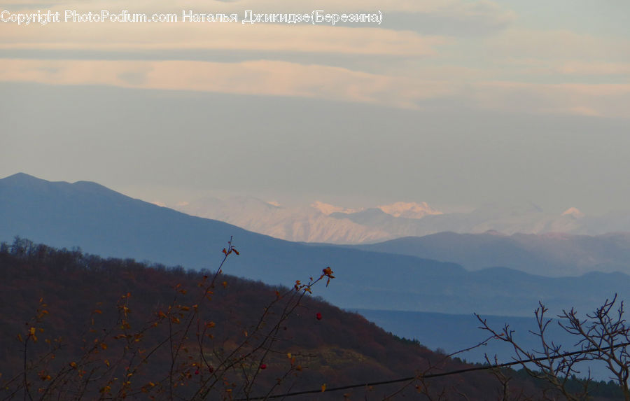 Landscape, Nature, Scenery, Plant, Tree, Mountain, Mountain Range