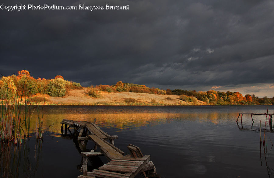 Dock, Landing, Pier, Boat, Dinghy, Maple, Tree