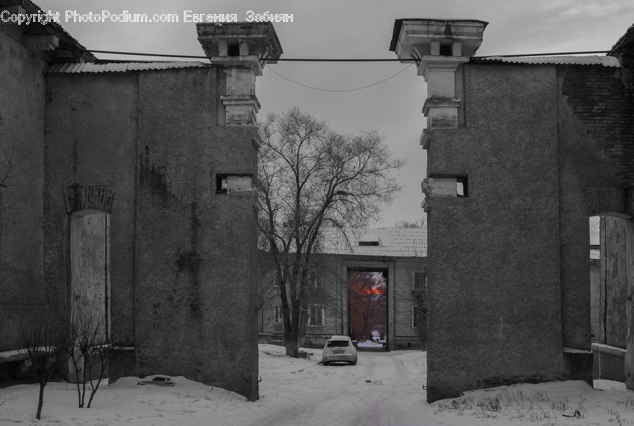 Alley, Alleyway, Road, Street, Town, Control Tower, Plant