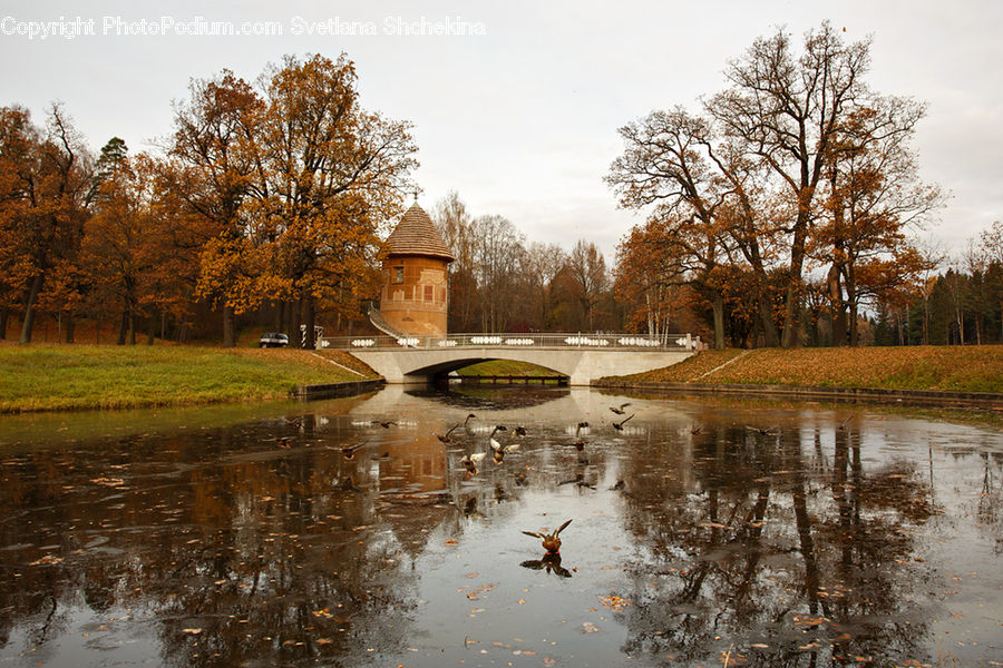 Outdoors, Pond, Water, River, Flood