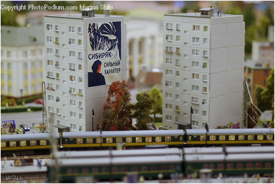 Train, Vehicle, Plant, Potted Plant, Bonsai, Tree, Building