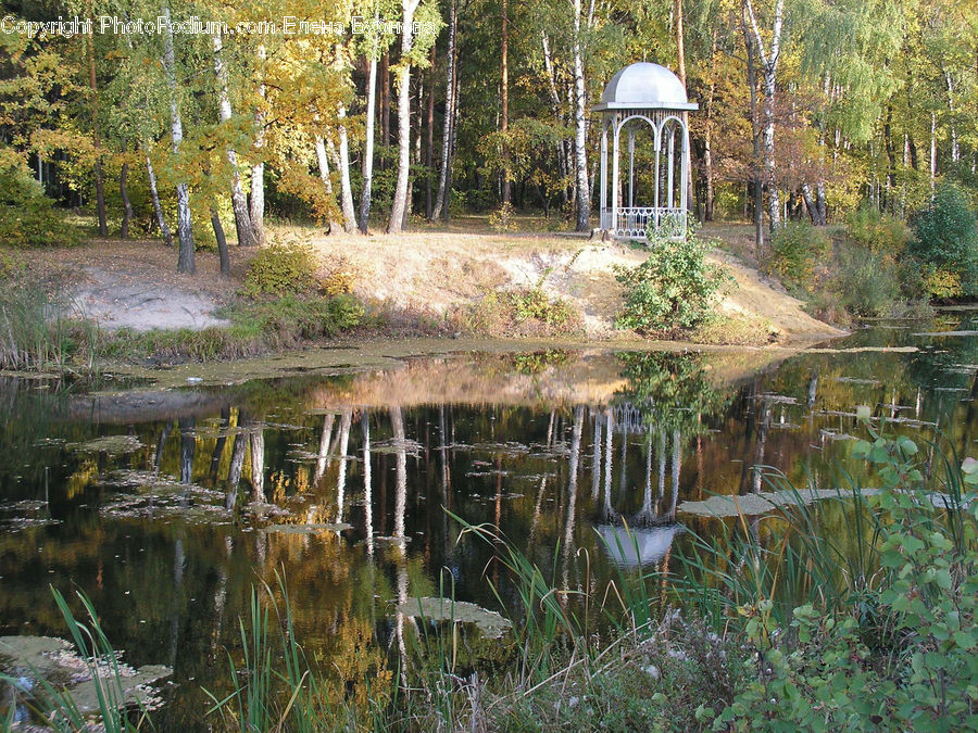 Gazebo, Outdoors, Pond, Water, Land, Marsh, Swamp
