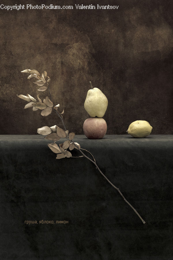 Citrus Fruit, Fruit, Pomelo, Paper, Quince, Lemon, Asphalt