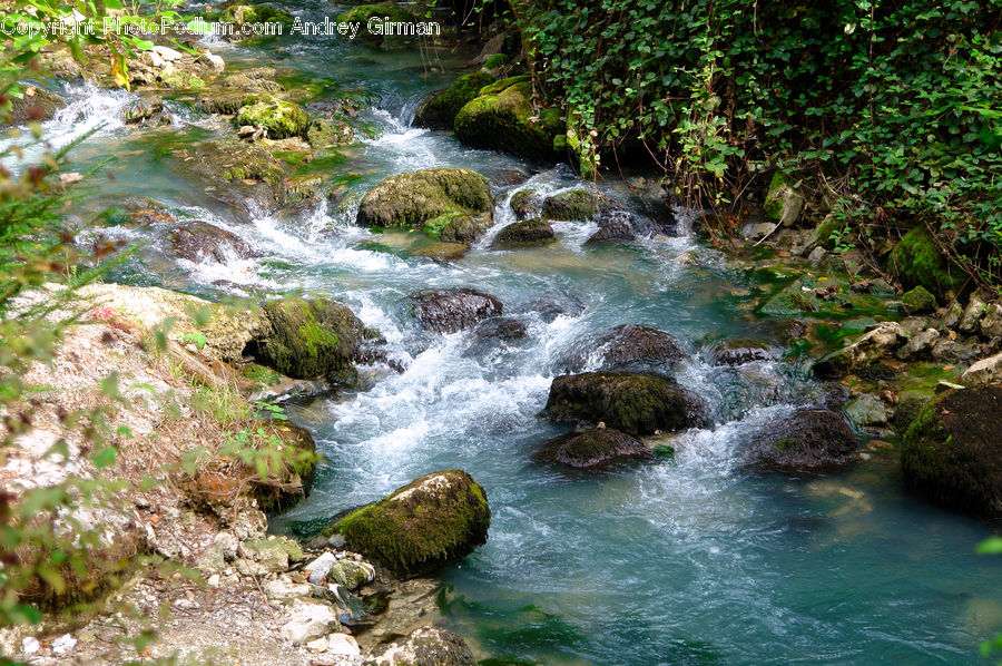 Creek, Outdoors, River, Water, Stream, Algae, Moss