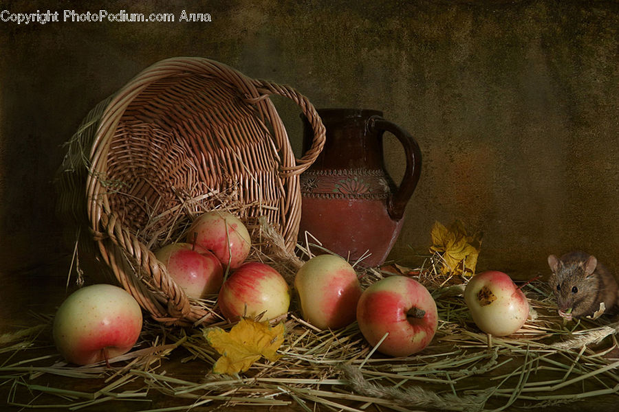 Basket, Animal, Mammal, Rat, Rodent, Plant, Produce